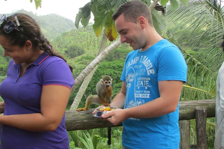 Punta Cana: Ziplines Adventures & Monkeyland Entry - Price and Value: What $130 Buys in a One-Day Package
