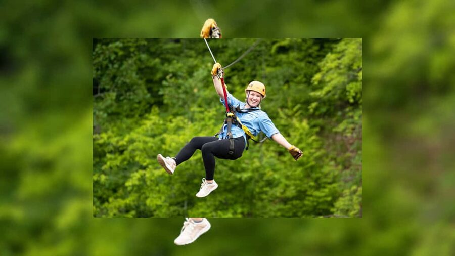 Rainforest Ziplining Adventure - Key highlights at a glance