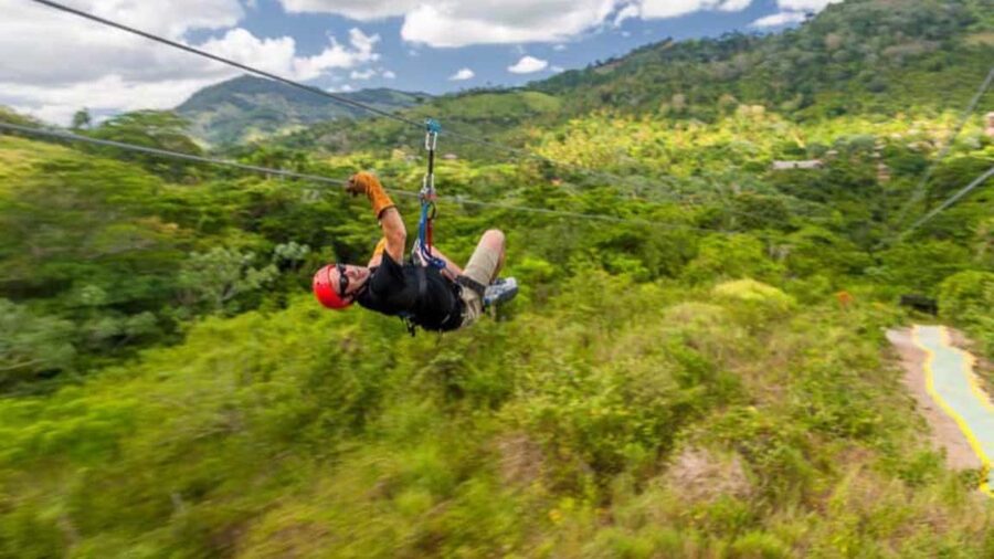Rainforest Ziplining Adventure - Language support: Spanish, English, French, and why it matters