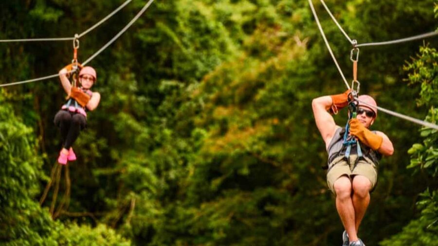 Rainforest Ziplining Adventure - Safety briefing and full gear check: the moment you’ll feel confident