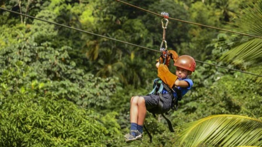 Rainforest Ziplining Adventure - Flying across 8 cables: what the ride feels like