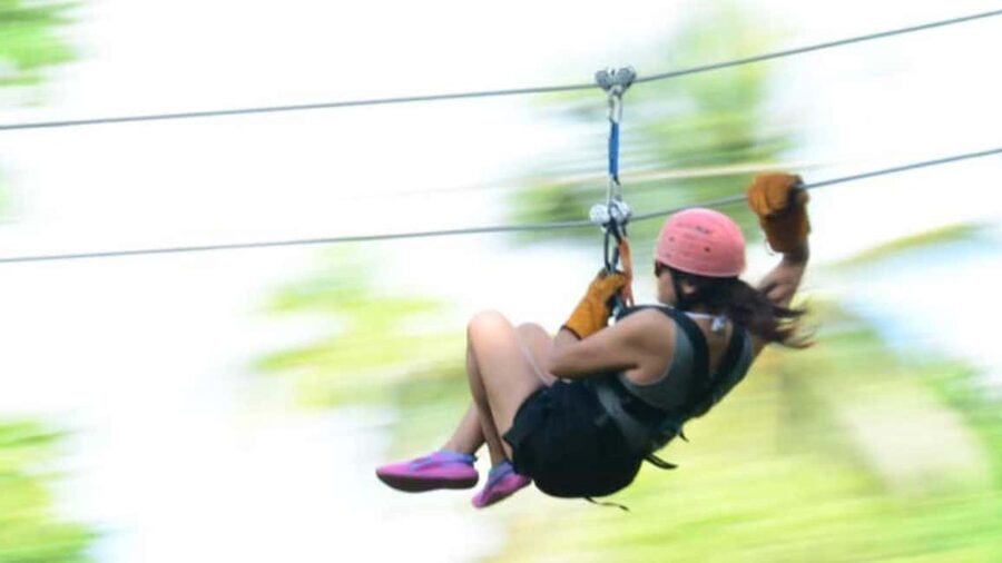 Rainforest Ziplining Adventure - Jungle views you can actually notice from above