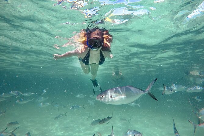 Reef Explorer Half Day Trip - Reef Explorer quick hits