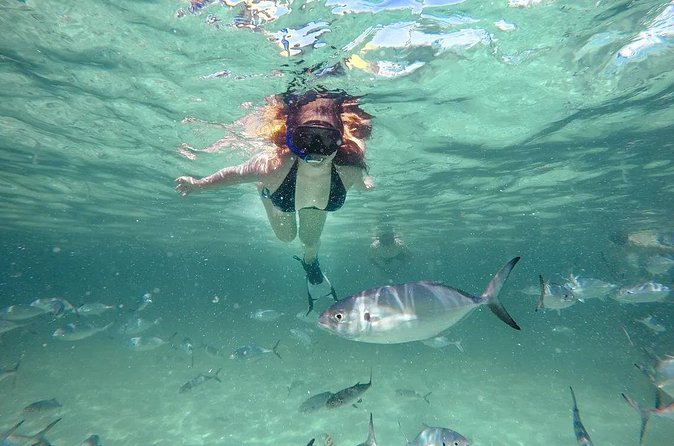Reef Explorer Half Day Trip - Who this tour fits best (and who should consider another option)