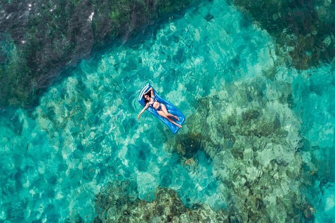 Reef Explorer Half Day Trip - Price and value: What $149 gets you in real terms