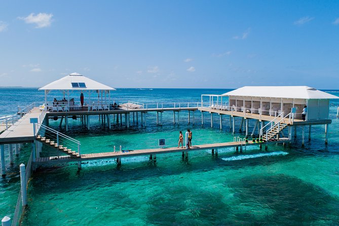 Reef Explorer Multiple activity Excursion from Punta Cana by Marinarium - Key takeaways before you go