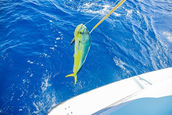 Reel Adventures: A Fin-tastic Fishing Tour - Your On-Water Experience: Sun, Breeze, and Time Off the Shore