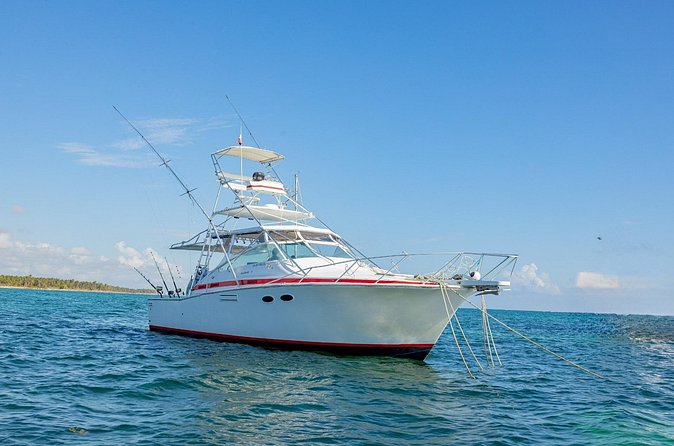Reel Adventures: A Fin-tastic Fishing Tour - Fish Expectation Check: Mahi Mahi Shows Up, but Outcomes Vary