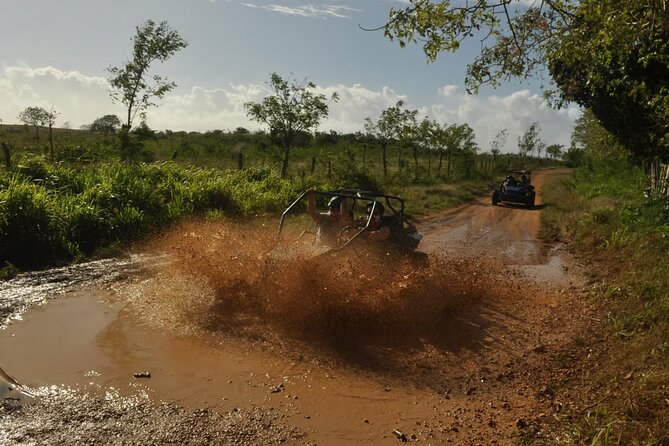 Rivers, Jungle with Buggies Adventure in Bayahibe - Jungle Trails by Buggy: Nature Time Without the Strain