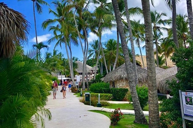 Round Trip Punta Cana Airport Shuttle - Your return trip: round trip is the value, but confirm the plan