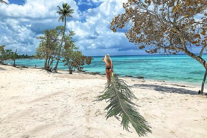 Round Trip Punta Cana Airport Shuttle - Price and value: $137 per group can work out nicely