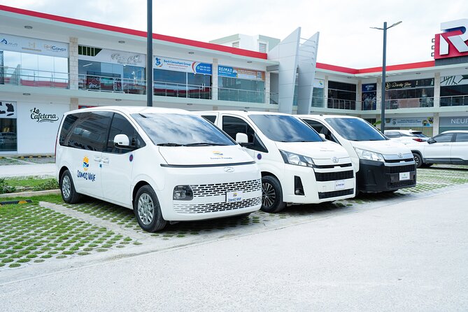 Round Trip Top-Rated Punta Cana Airport Transfer to your Hotel - Who this transfer is best for