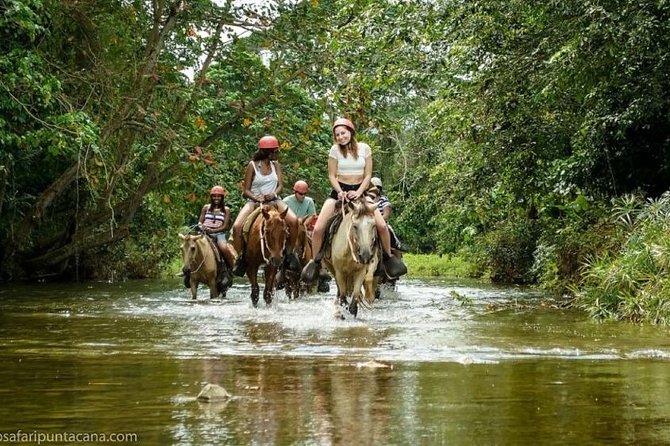 Safari Adventure - Full Day - From Punta Cana - Key Highlights (What Makes This Tour Worth Your Day)