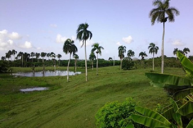 Safari Adventure - Full Day - From Punta Cana - Basilica Cathedral of Higüey: A Majestic Religious Stop