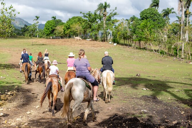 Safari and Higuey Church from Punta Cana - Should you book Safari and Higuey Church from Punta Cana?