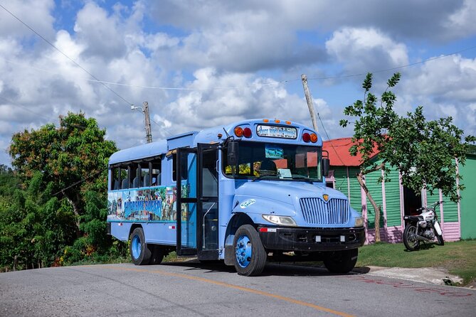 Safari and Higuey Church from Punta Cana - Rural school time and community stops that feel grounded