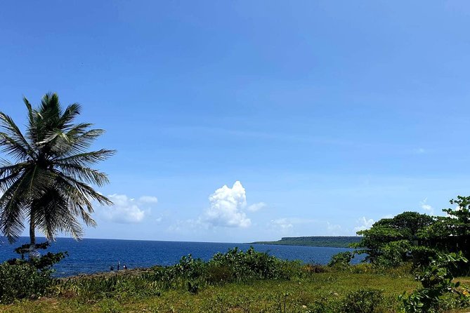 Safari discovery to Boca De Yuma – Nature, Discovery And History Of A Population - The included seafood lunch with drinks is where the value shows