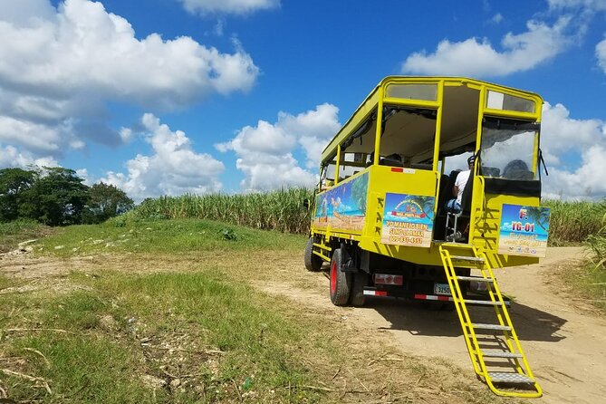 Safari Half Day Experience - Price and Value: What $59 Buys in Real Dominican Learning