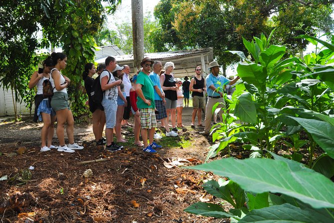 Safari Supreme Full Day Outdoor Adventure Punta Cana - Lunch on the Countryside Ranch and the Cigar Rolling Demo