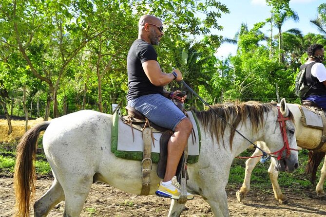 Safari Tour in Punta Cana todo el dia una Aventura inolvidable - Higuey’s Basilica Stop: A Faith Landmark With Admission Covered