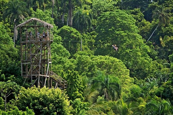 Safari Tour in Punta Cana todo el dia una Aventura inolvidable - What You Get for $110: Value Beyond the Headline Activities