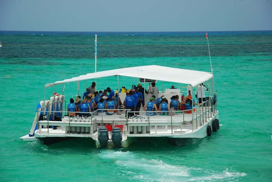 Sailing Splash Tour Speedboat, Snorkel, and Catamaran - Sharks and stingrays: how to think about encounters realistically