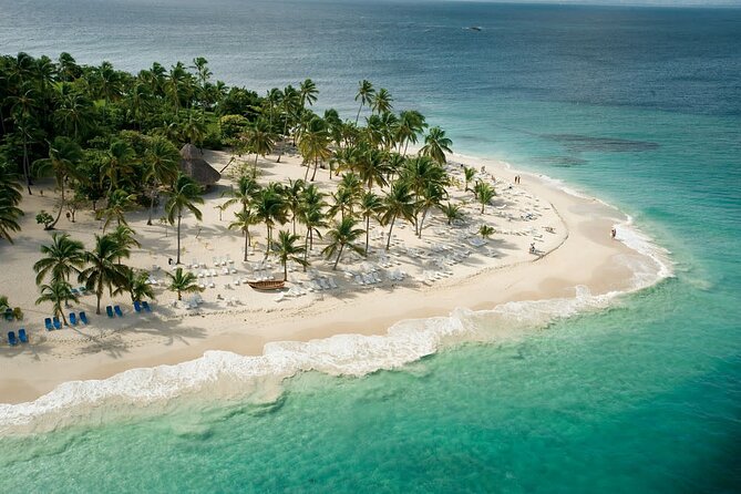 Samaná Experience Whale – The Lemon Waterfall & Bacardi Island - Whale spotting on Samaná Bay: what to expect realistically