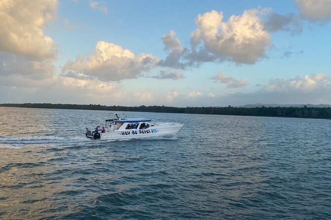 Samana from Punta Cana - Full Day - Price and Value: Does $120 Make Sense?