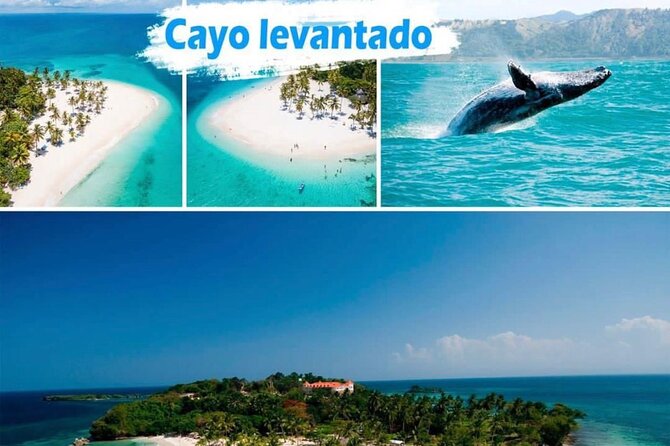 Samana Full Day -baracardi island, horses, lemon waterfall - Key highlights you’ll care about