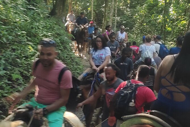 Samana Full Day Waterfall, Safari and Beach - Price and logistics: is $110 worth your day?
