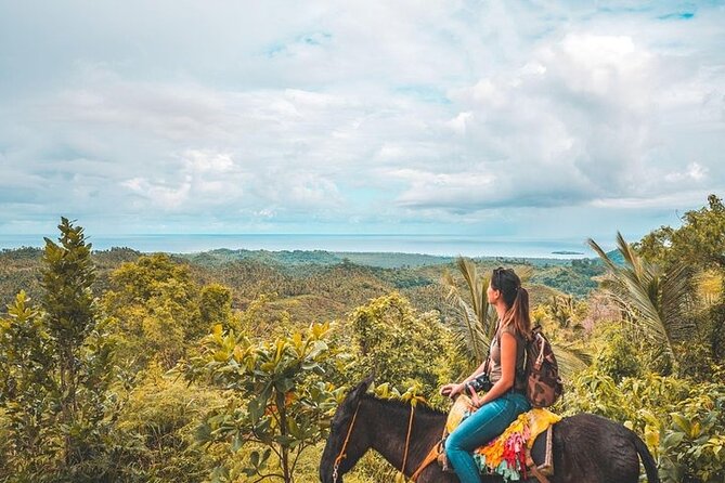 Samaná Whale Watching, waterfall & Cayo Levantado Adventure - Weather rules and what to do with uncertainty