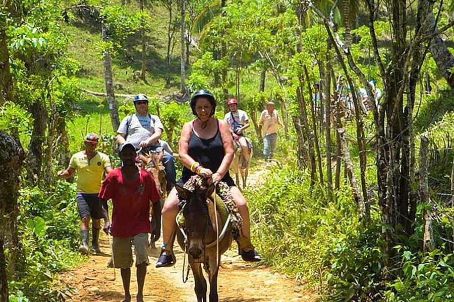 Samaná Whales Full Day, Cayo Levantado, Limón Waterfall - Getting There By Bus, Off-Road Truck, Then More Vehicle Swaps