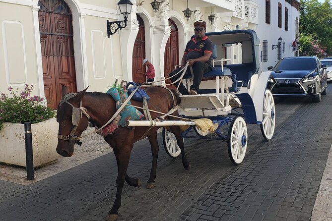 Santo Domingo City Tours Full Day From Punta Cana - Zone Colonial / Ciudad Colonial: Alcázar de Colón and the Cathedral Primada