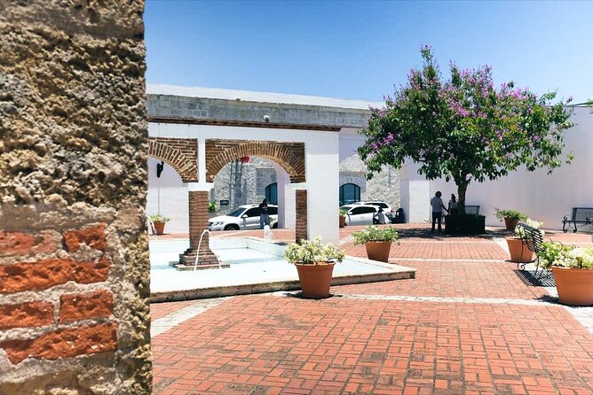 Santo Domingo Historical Tour with Caves from Punta Cana - Stop 4: Palacio Nacional and the Easy Photo Moment
