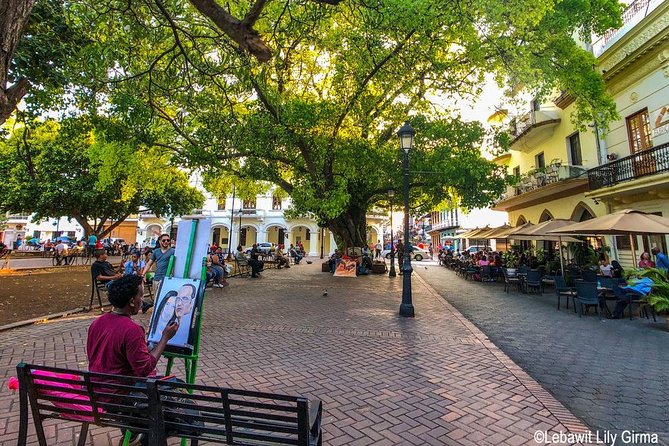 Santo Domingo Private Tour from Punta Cana - Lunch in Santo Domingo: What’s Included and How to Choose