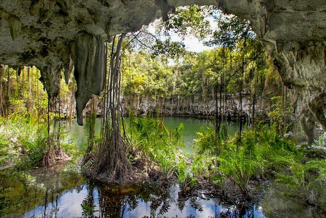 Santo Domingo Tour From Punta Cana - Zona Colonial, Los Tres Ojos - Price and Value: Is $95 Fair for This Much Day Trip?