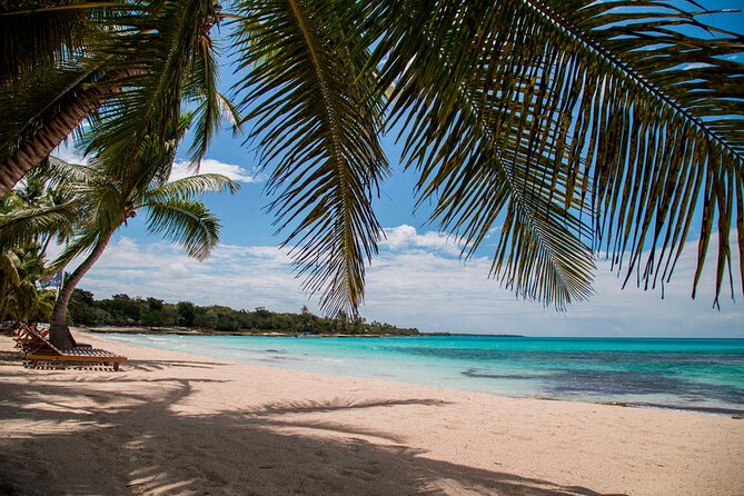 Saona Catamaran Cruise with Lunch and Natural Swimming Pool - Guide Impact: When People Make the Day
