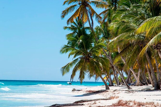 Saona Catamaran Cruise with Lunch and Natural Swimming Pool - Palmilla Natural Pool: The Starfish Area Swim Stop