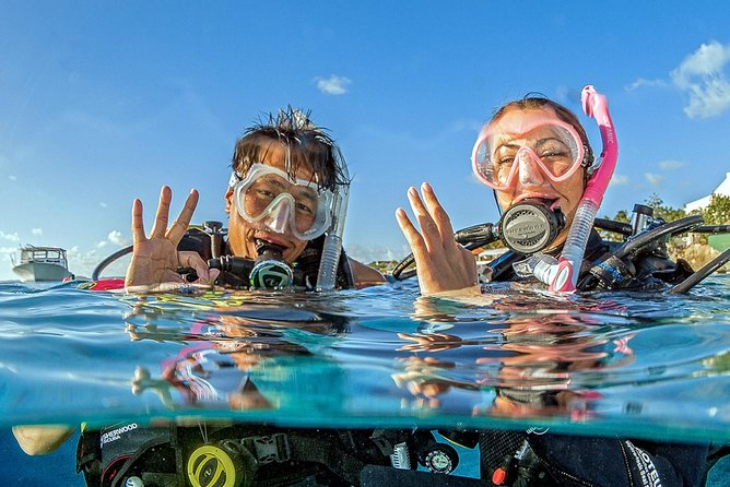 Saona Diving - Bayahibe and Saona: Why These Reef Stops Matter