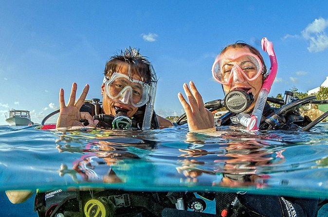 Saona Diving - Should You Book This Saona Reef Day?