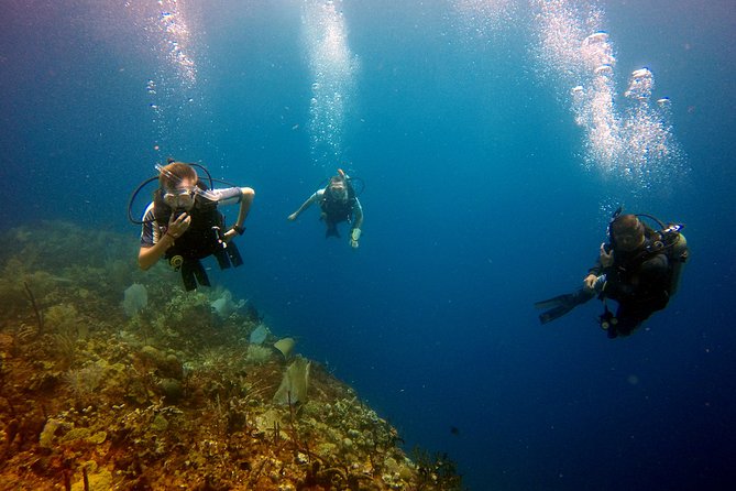 Saona Diving - The 6:30am Start and How the Day Gets Moving