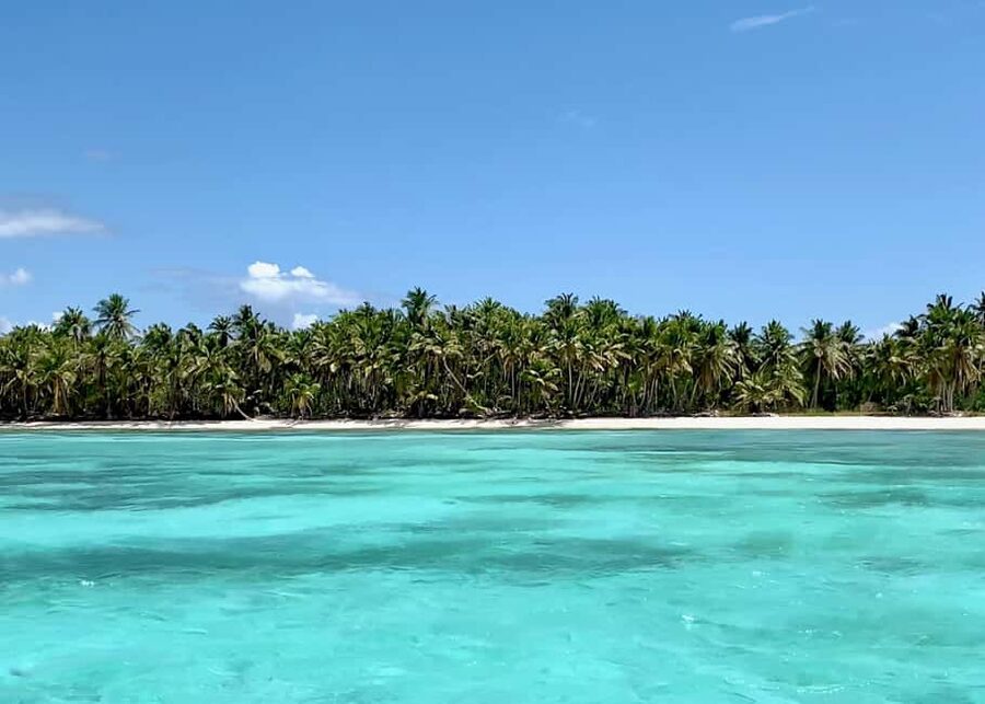Saona Exclusive Catamaran – Small Group Experience - Lunch and Drinks: A Dominican Buffet That Feels Like a Real Meal