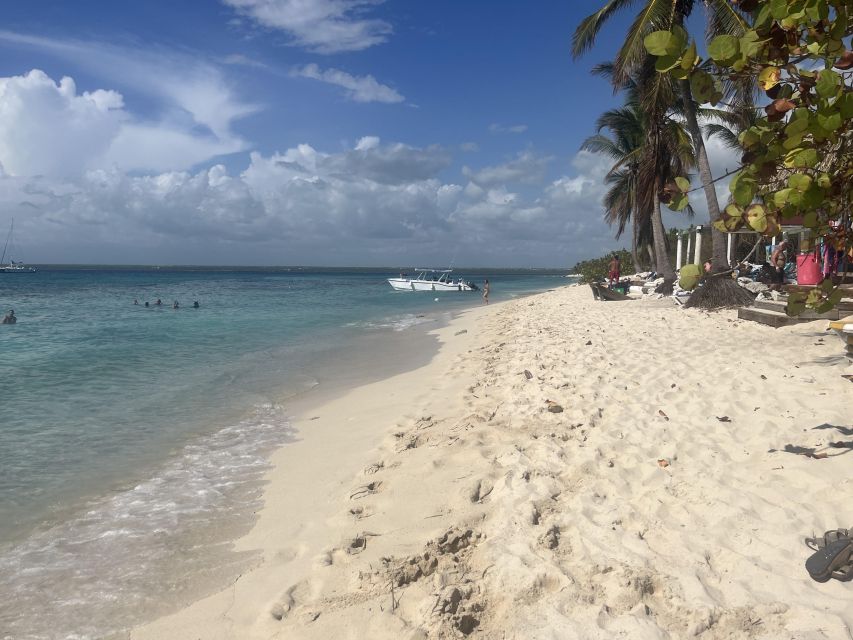 Saona Exclusive Catamaran – Small Group Experience - The Natural Pool: Photos, Starfish Viewing, and a Real Swim