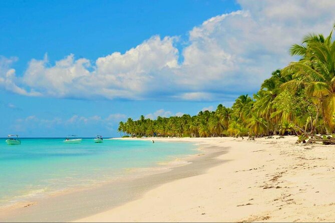 Saona Island Adventure: Natural Pool & All-Inclusive Drinks - Isla Saona in one 6-hour shot: what you’re really buying