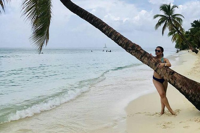 Saona Island All Inclusive Punta Cana - The Boat Ride: Catamaran or Speedboat and the Starfish Natural Pool Moment