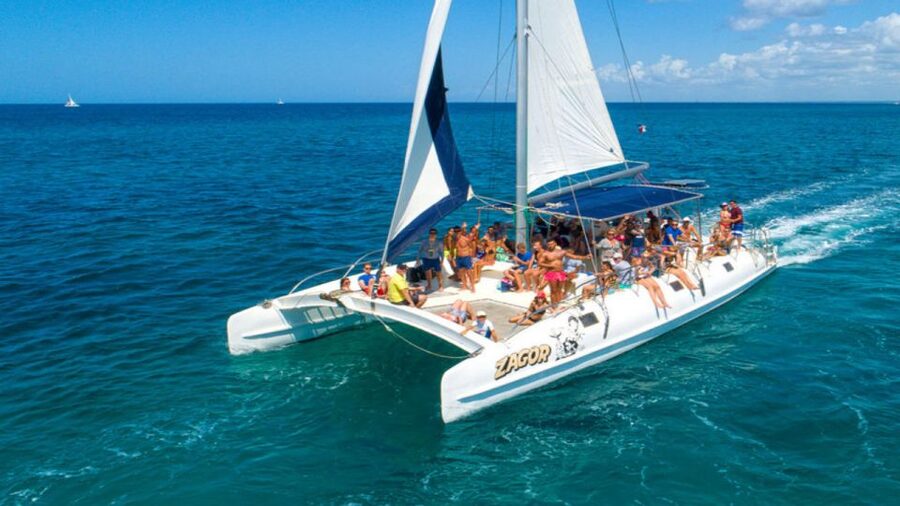 Saona Island All Inclusive Tour - Beach Time at Saona: Lunch, Activities, Music, and How Crowds Change the Mood
