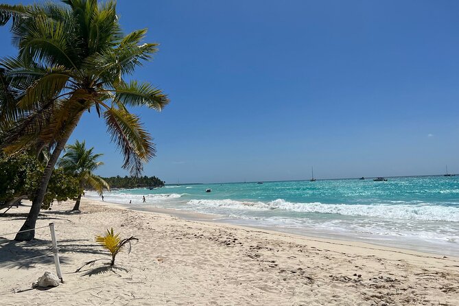 Saona Island and Chavon River Tour with Lunch and Drinks - Lunch and drinks: included basics that actually matter
