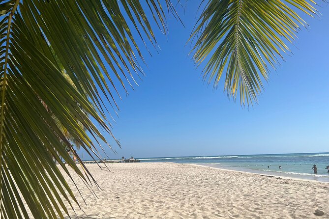 Saona Island and Chavon River Tour with Lunch and Drinks - English experience and guide communication: plan smart