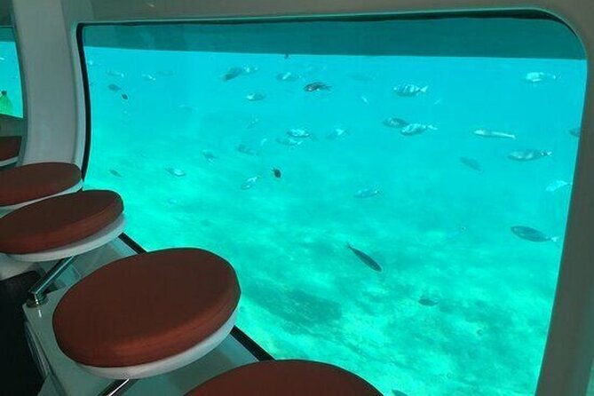 Saona Island at Yellow Submarine Exclusive Tour from Punta Cana - Piscina Natural Saona: starfish watching in waist-deep water