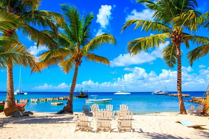 Saona Island by Paradise Travel - Key Highlights You’ll Actually Care About
